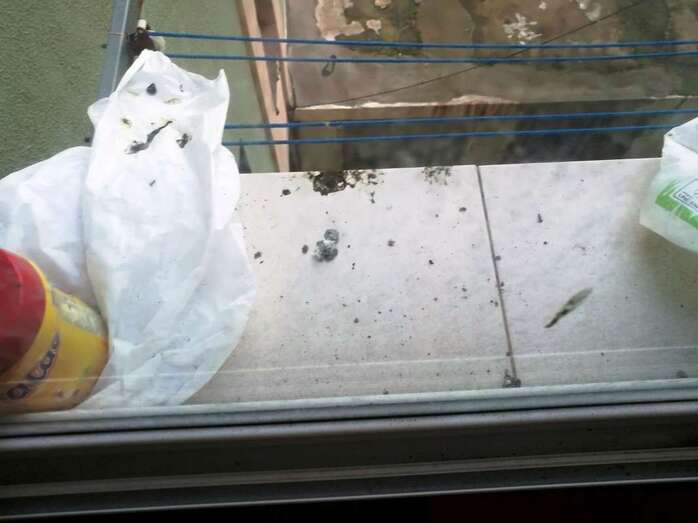 Excrementos de animales en la ventana de una vecina de la calle de Fernando Sagaseta (Foto TA)